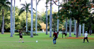 Sports in a central park, in mid-winter!